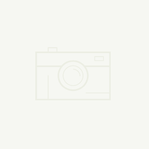 資質(zhì)榮譽(yù)